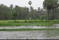 Vietnam - Cambodge - 0237